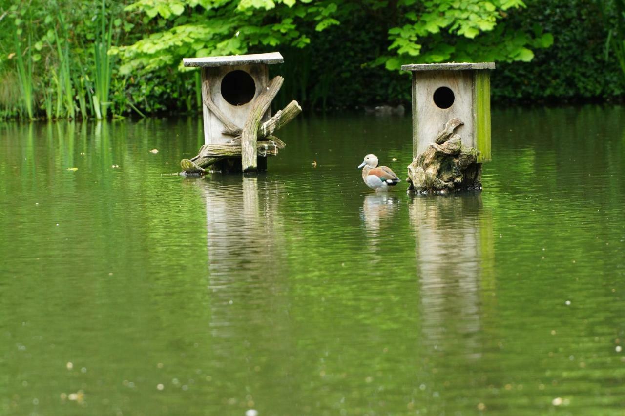 וורנדורף Gaestewohnung Hardinghaus Am Teich מראה חיצוני תמונה